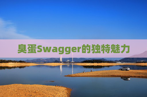 臭蛋Swagger的独特魅力